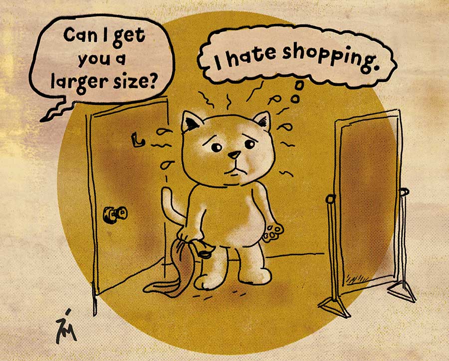 Illustration titled: Bad Day Cat