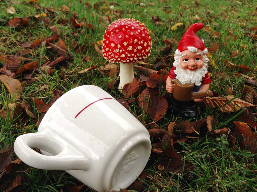 First Cup Photo: Mushroom Gnome