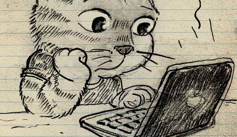 image link to view Sad Cat Stories